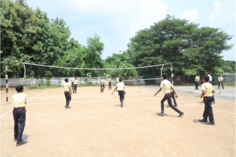 volleyball of brainy blooms